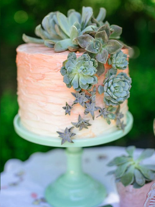 Прикраса кактус | Тренди дизайну тортів 2018-2019 | Блог | Торт на замовлення